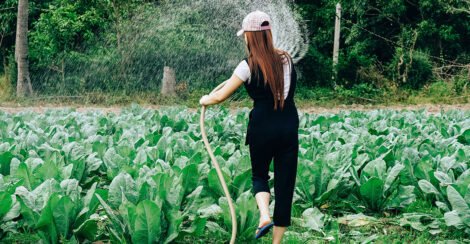 Blog 01 470x244